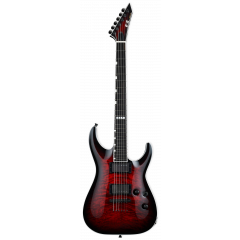 ESP E-II Horizon NT-II see thru black cherry - Vue 1